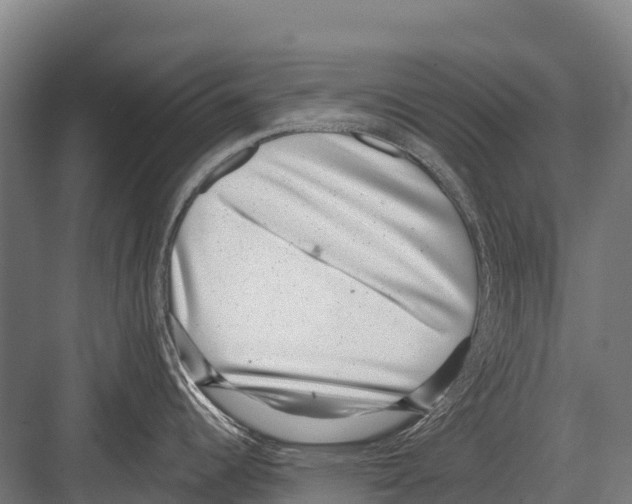 X0000081581344200702121438