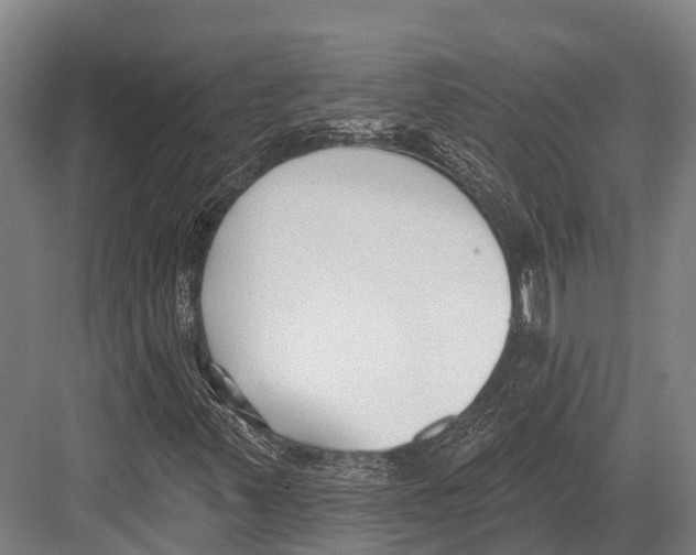 X0000081581347200702121437