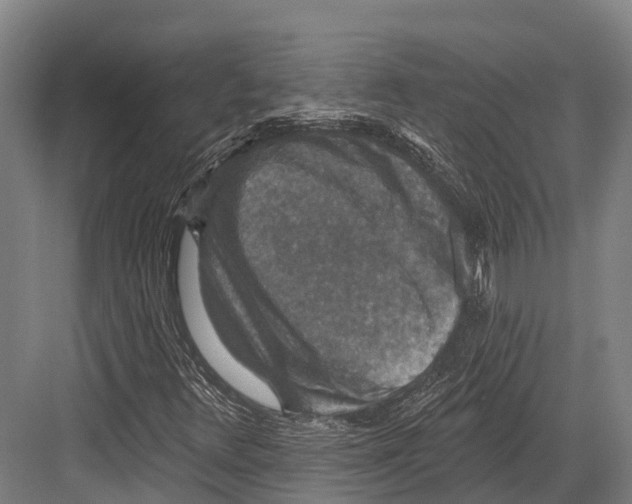 X0000081581348200702121437