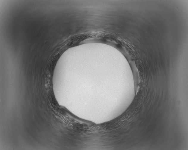 X0000081581349200702121437