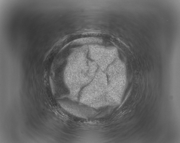 X0000081581351200702121437