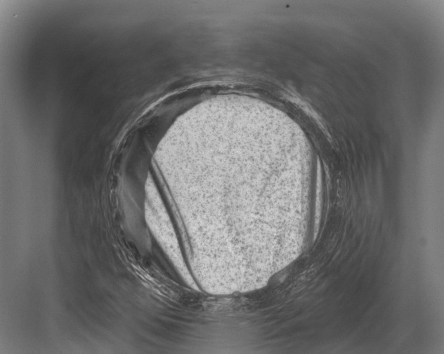 X0000081581352200702121437