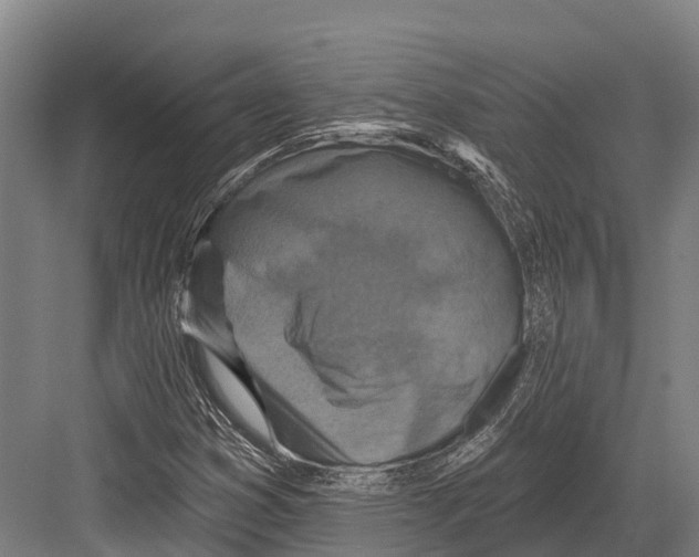 X0000081581353200702121437