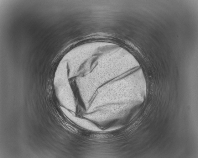 X0000081581355200702121437