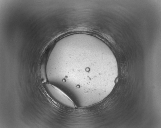 X0000081581356200702121437