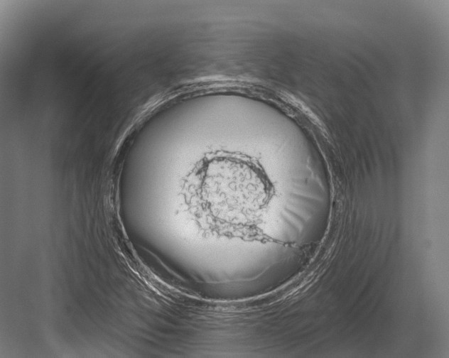 X0000081581357200702121437