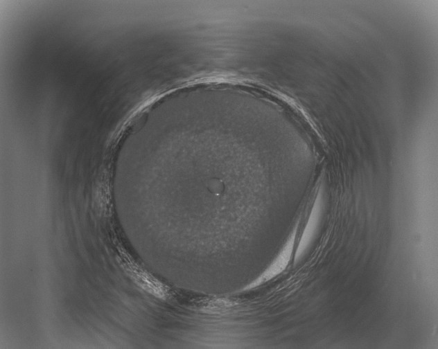 X0000081581359200702121437