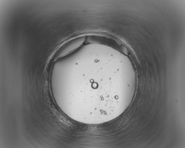 X0000081581360200702121437