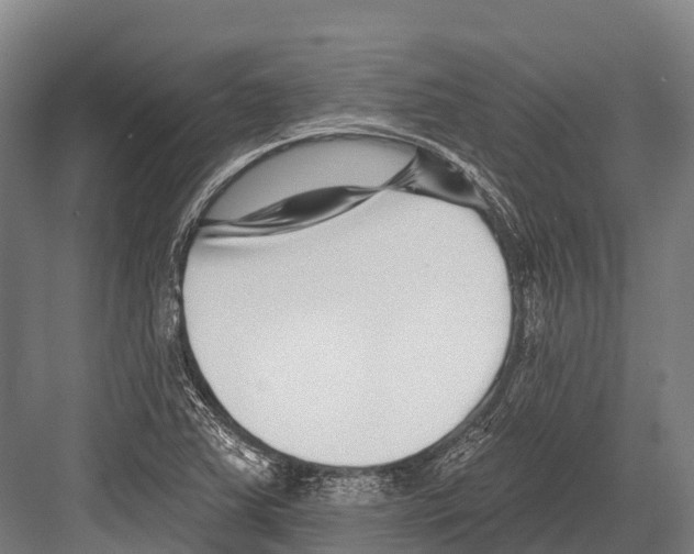 X0000081581363200702121437