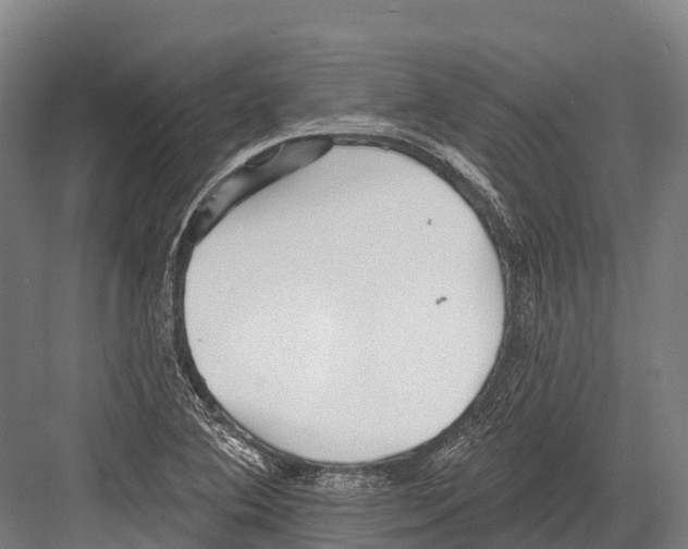 X0000081581364200702121437