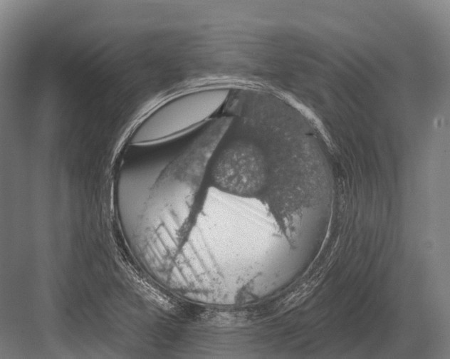 X0000081581365200702121437