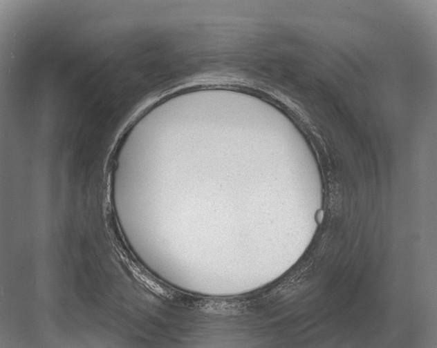 X0000081581366200702121437