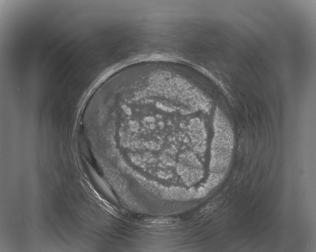 X0000081581367200702121437