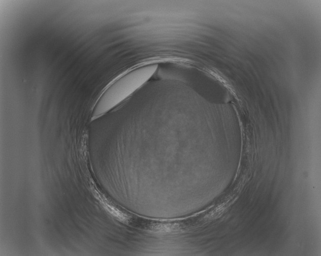 X0000081581369200702121436