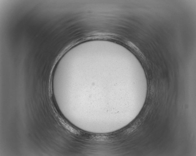 X0000081581370200702121436