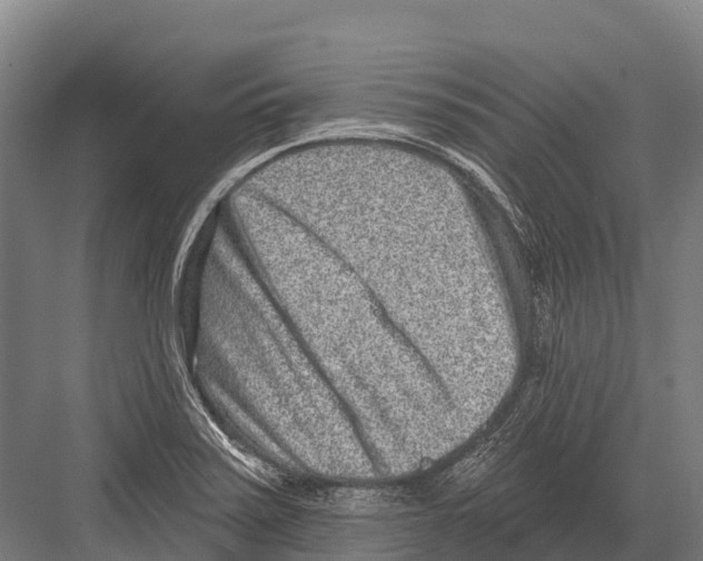 X0000081581371200702121436