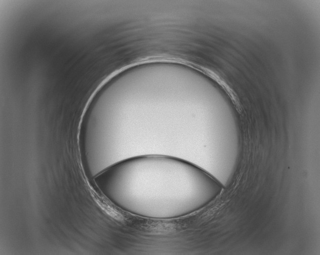 X0000081581372200702121436