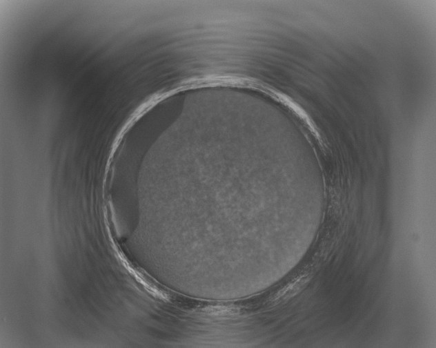 X0000081581373200702121436