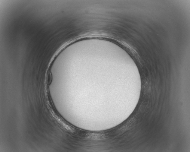 X0000081581374200702121436