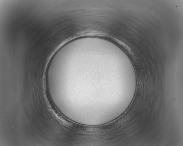 X0000081581375200702121436