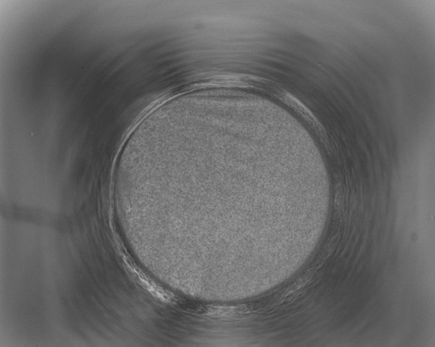 X0000081581378200702121436