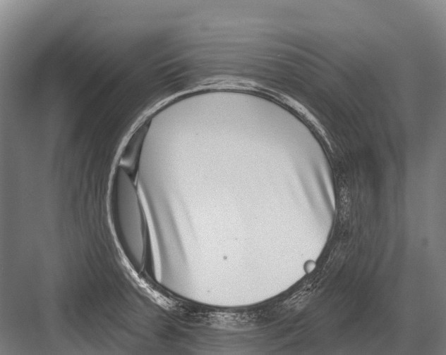 X0000081581379200702121436