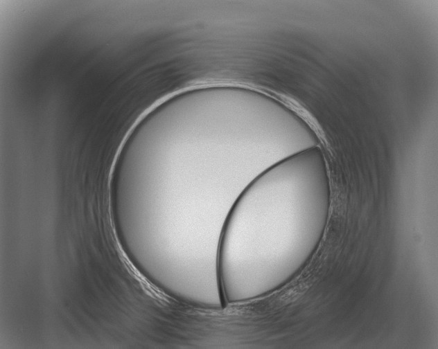 X0000081581380200702121436