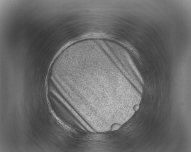 X0000081581382200702121436