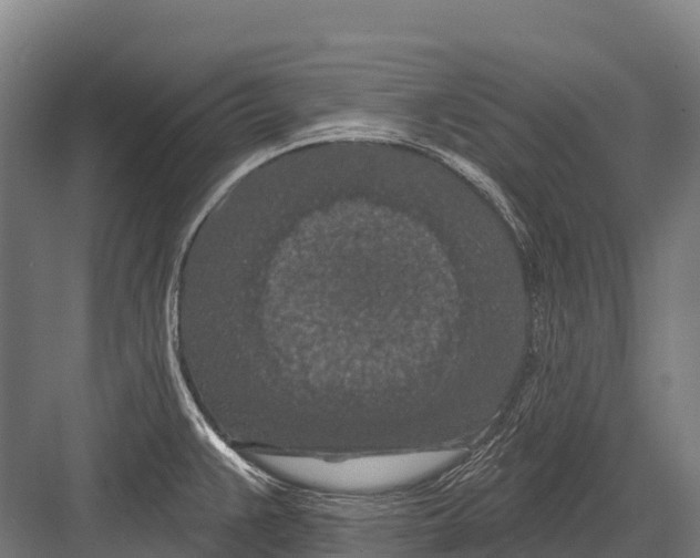 X0000081581383200702121436