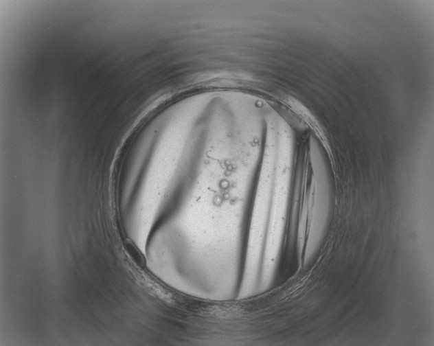 X0000081581384200702121436