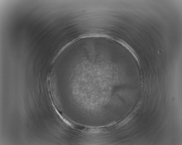 X0000081581385200702121436