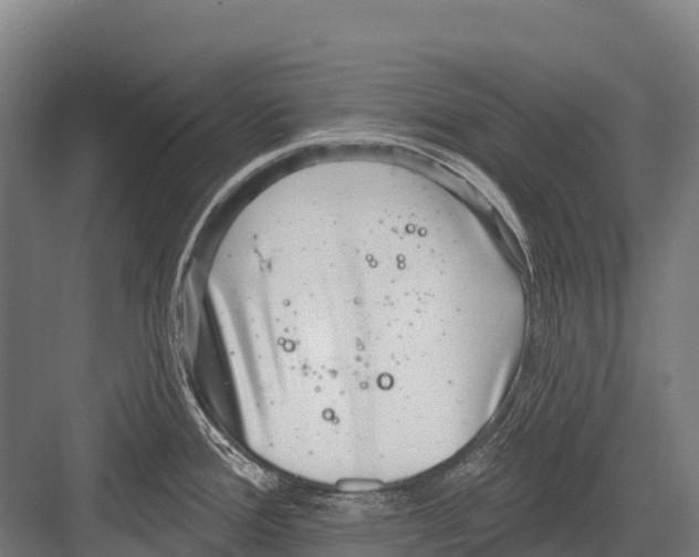 X0000081581388200702121436