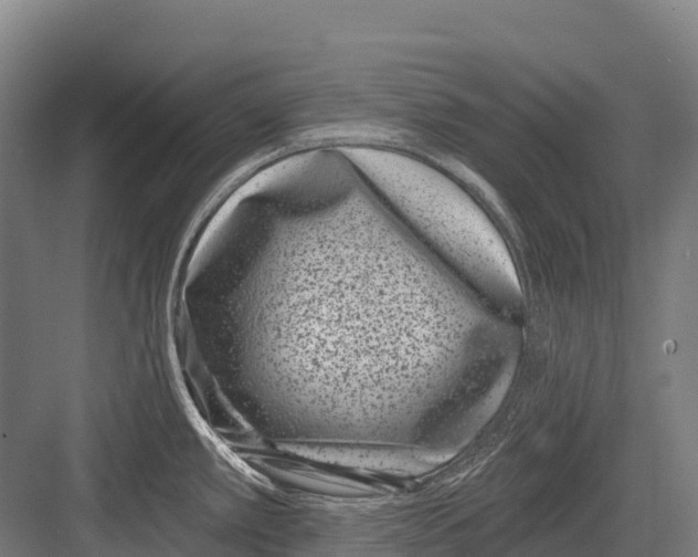 X0000081581389200702121436