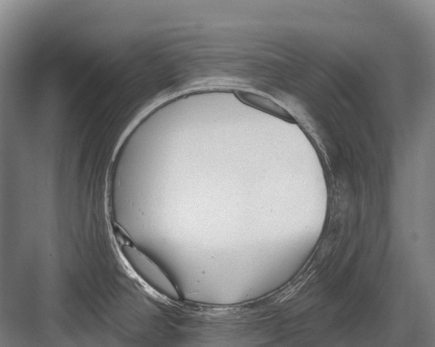 X0000081581390200702121436