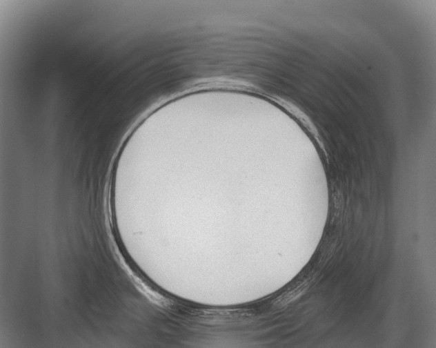 X0000081581391200702121436