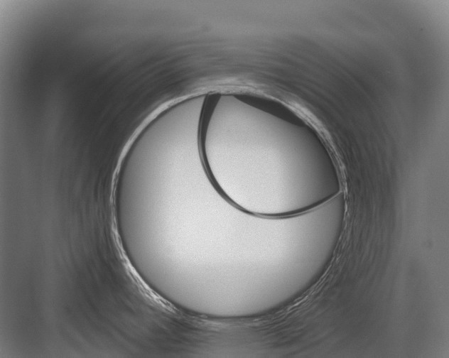 X0000081581392200702121436