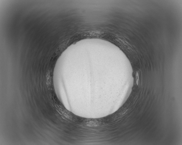 X0000081581395200702121435