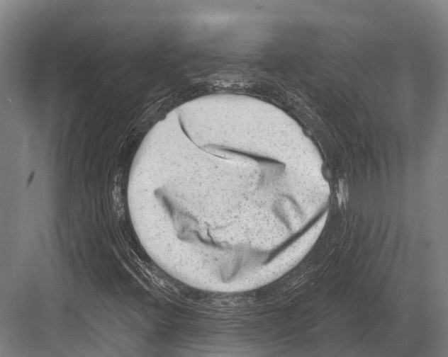 X0000081581396200702121435