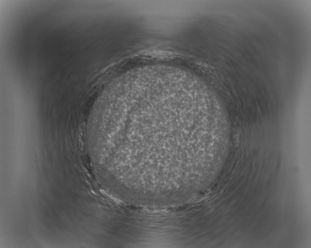 X0000081581397200702121435