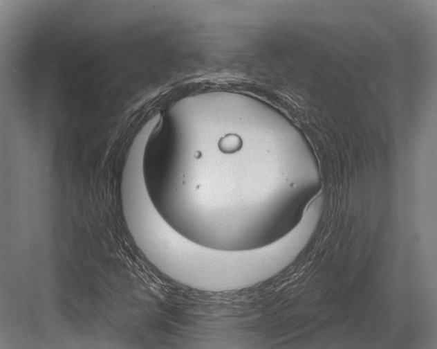 X0000081581398200702121435