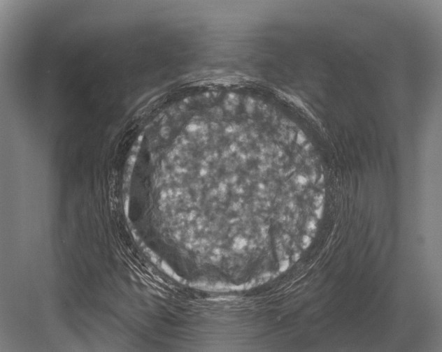 X0000081581399200702121435