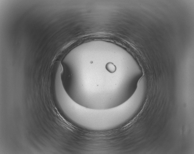 X0000081581402200702121435