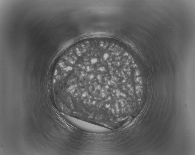 X0000081581405200702121435