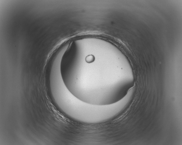 X0000081581406200702121436