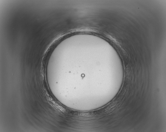 X0000081581408200702121436