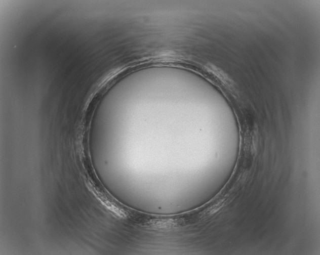 X0000081581410200702121436