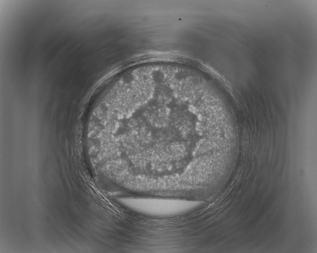 X0000081581411200702121436