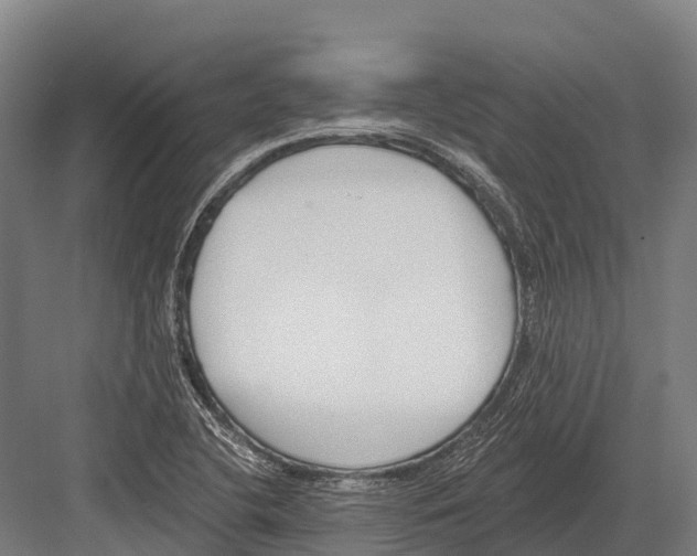 X0000081581412200702121436