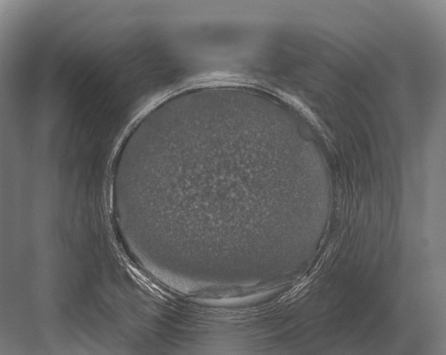 X0000081581413200702121436