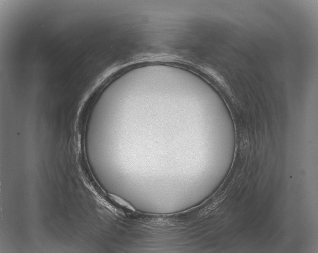 X0000081581414200702121436